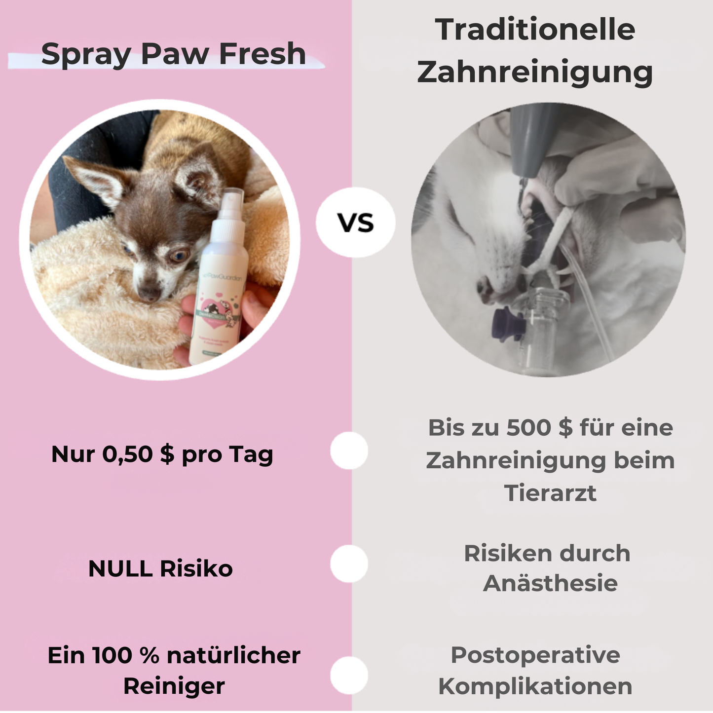 Dentaclean™ – Entfernt Zahnstein in 90 Tagen