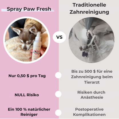 Dentaclean™ – Entfernt Zahnstein in 90 Tagen