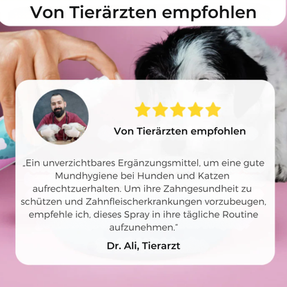 Dentaclean™ – Entfernt Zahnstein in 90 Tagen